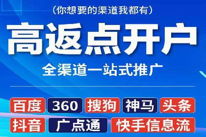 百度竞价排名案例解析：如何快速提升网站流量