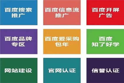 百度SEM广告投放的创意与执行：成功案例详解